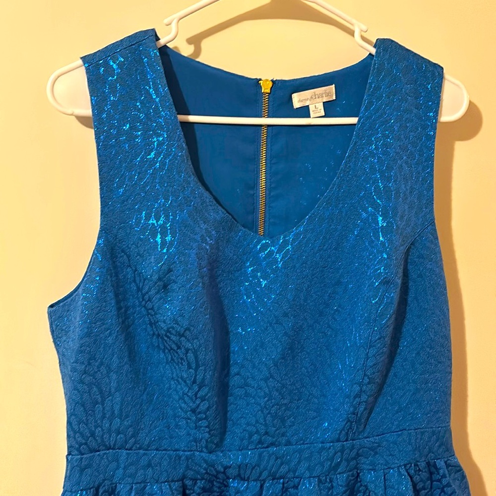 Beautiful Charming Charlies Dress
